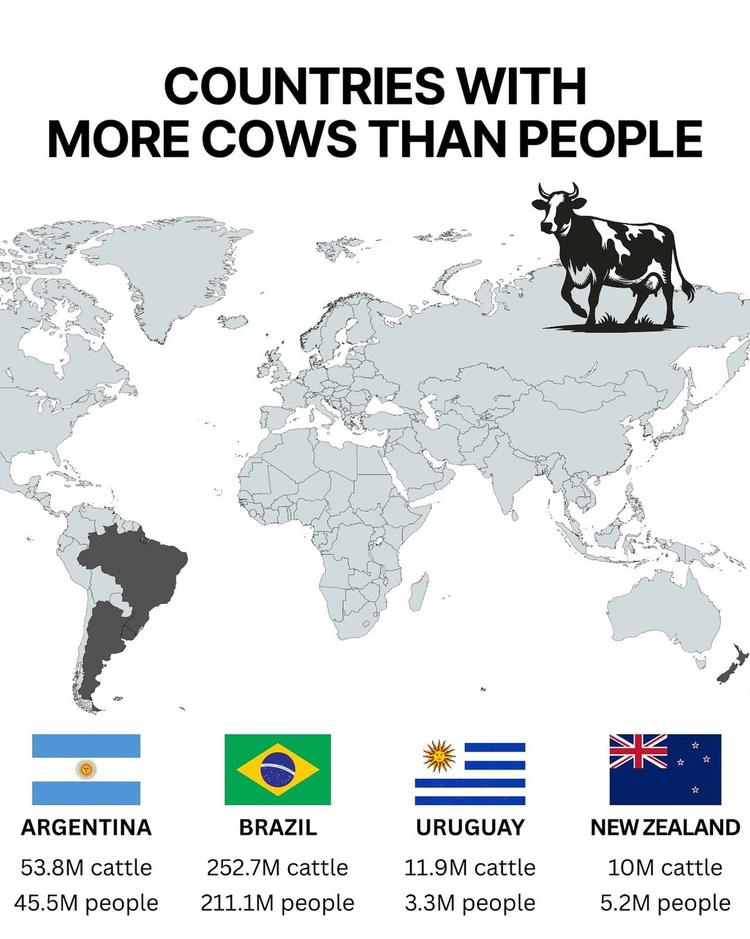These countries have more cows than people