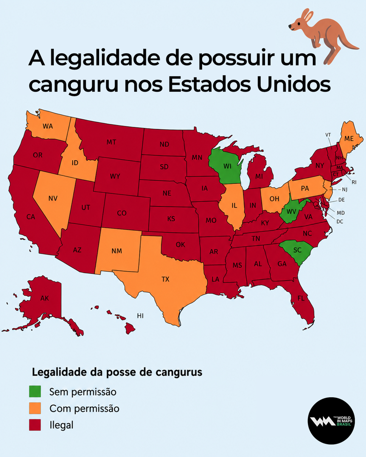 A legalidade de possuir um canguru nos EUA