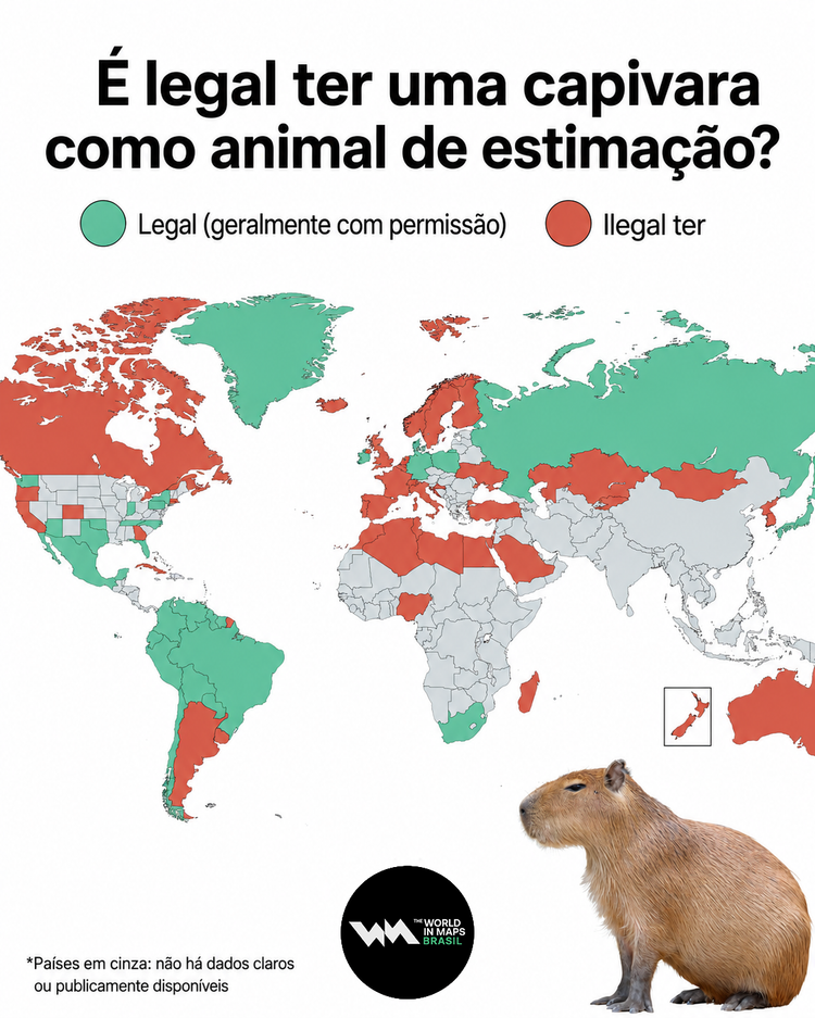 Mapa mostra locais onde é legal ter uma capivara como animal de estimação
