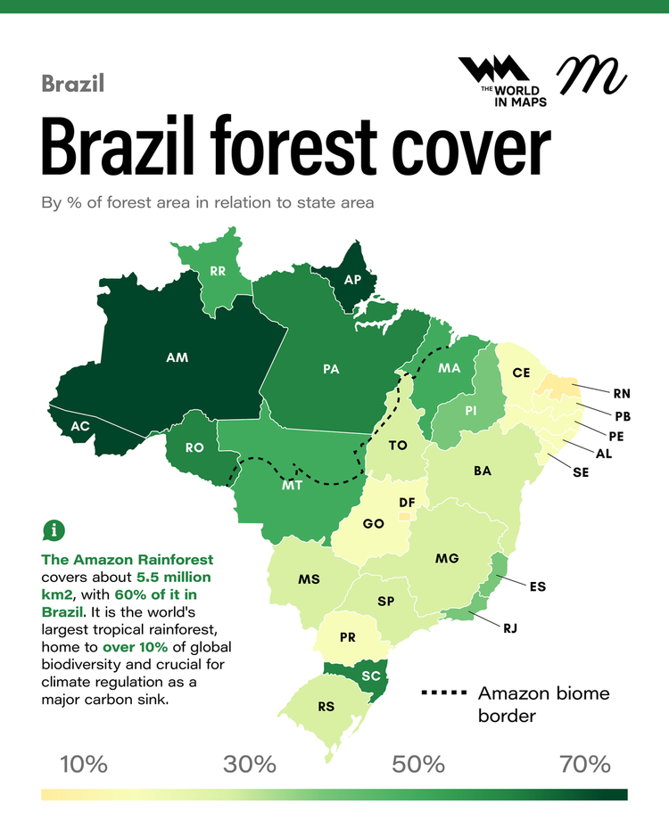 The current state of Brazil’s Amazon Forest and its mounting threats