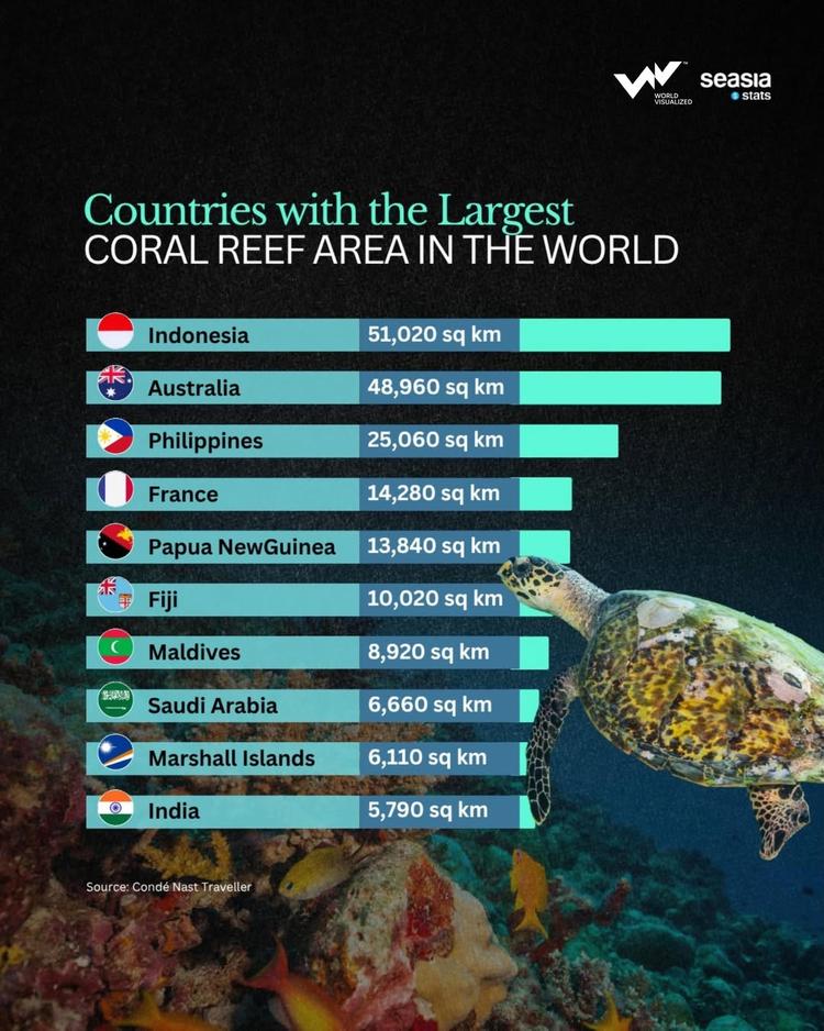 Indonesia and Australia lead the world in coral reef coverage