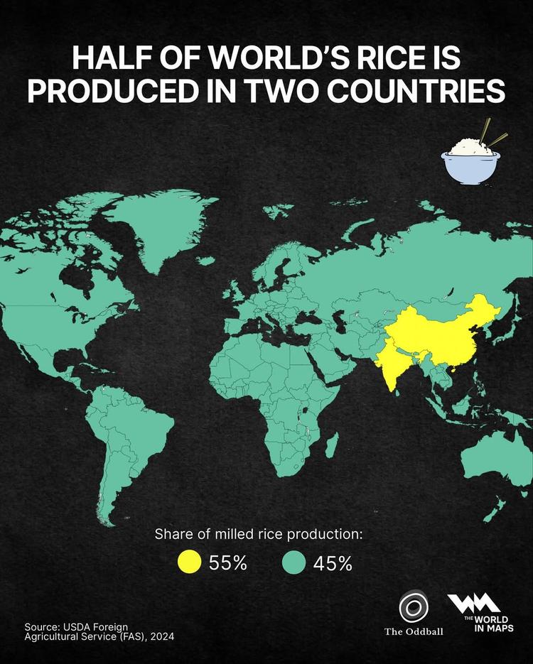 India surpasses China to become the new rice powerhouse