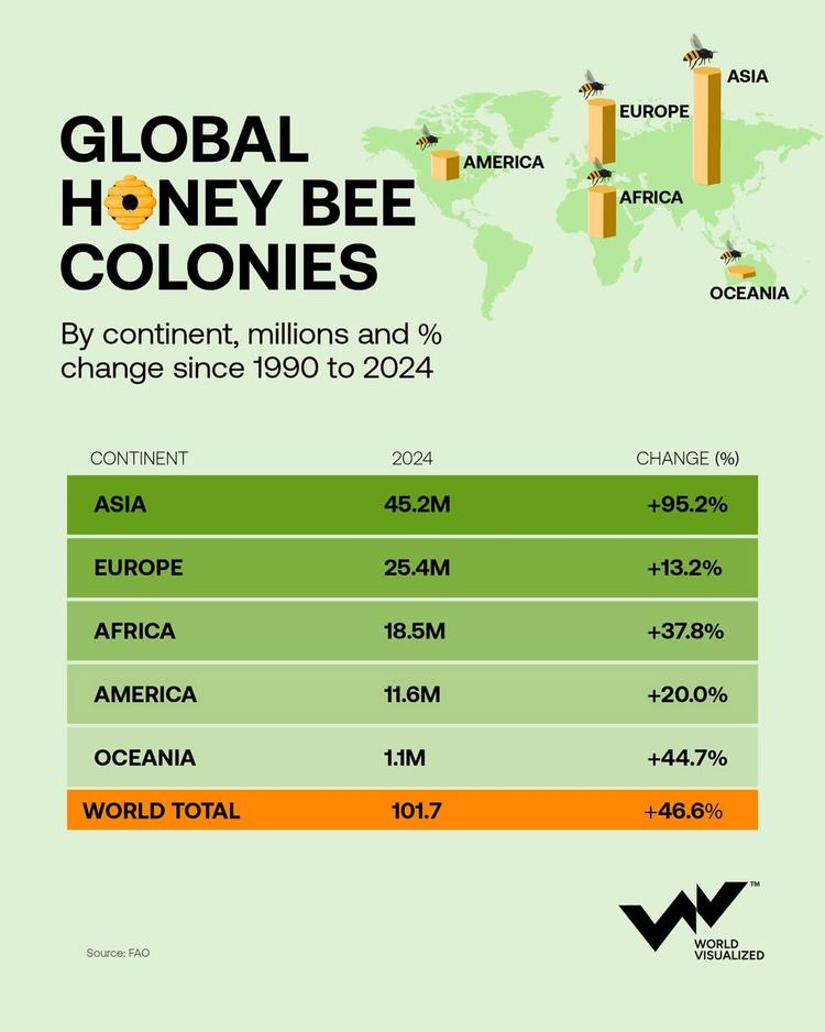 Global honey bee colonies surge