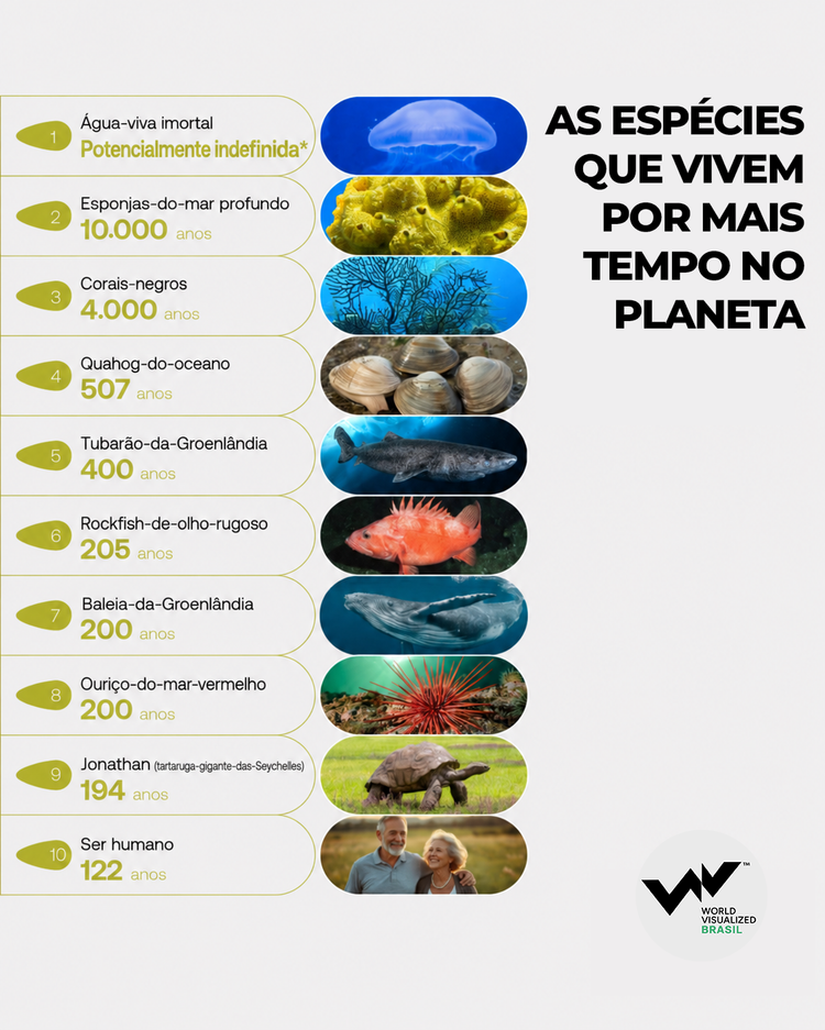 Infográfico sobre as espécies que vivem mais tempo no planeta