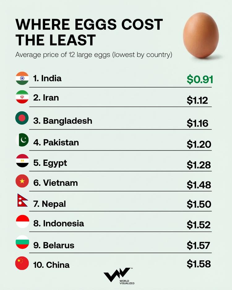 CHEAPEST EGGS