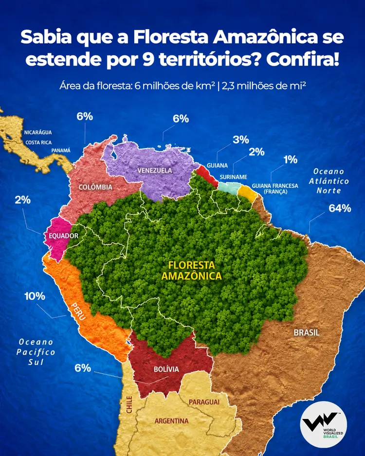 Ilustração mostra em mapa a dimensão da floresta amazônica na América do Sul