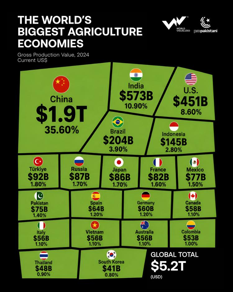 China leads the world in agricultural production value, ahead of India and US