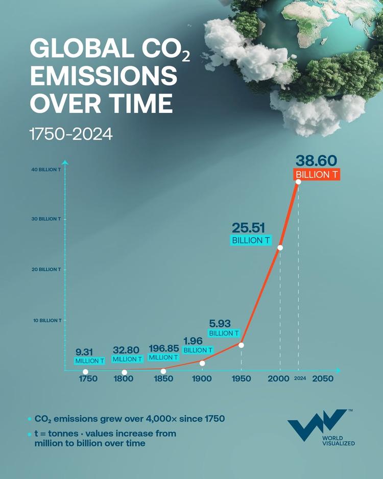 Global carbon emissions
