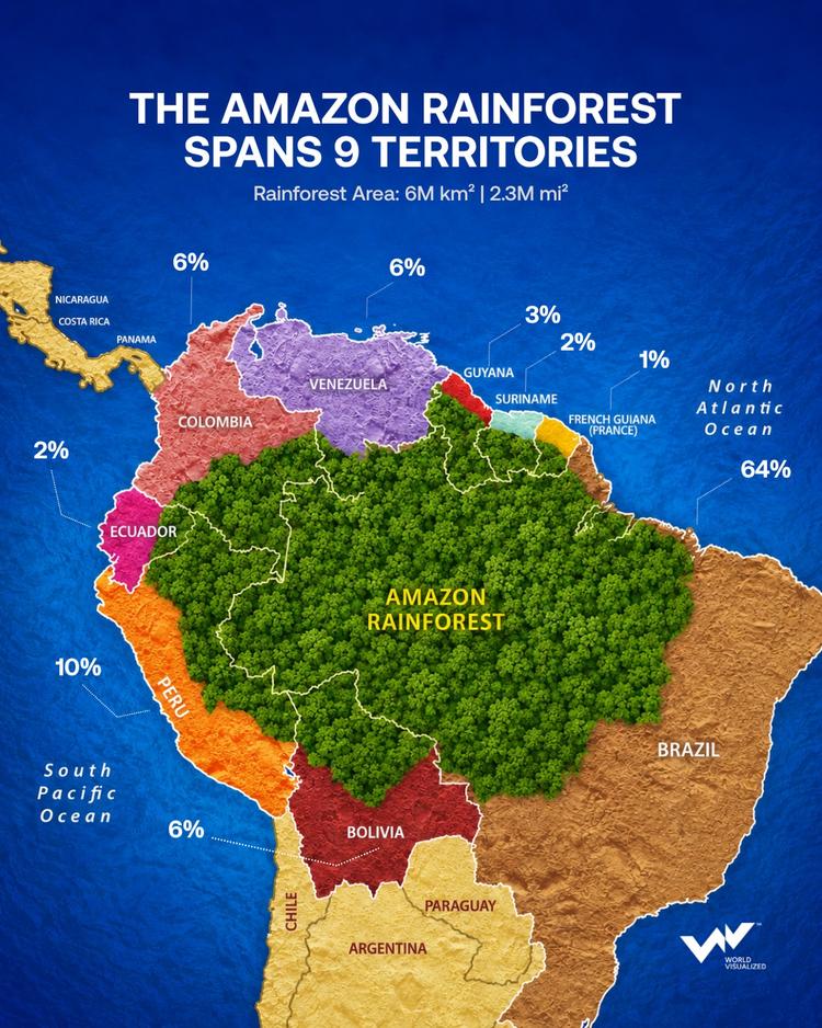 Amazon spans nine territories with Brazil home to nearly two-thirds of the rainforest