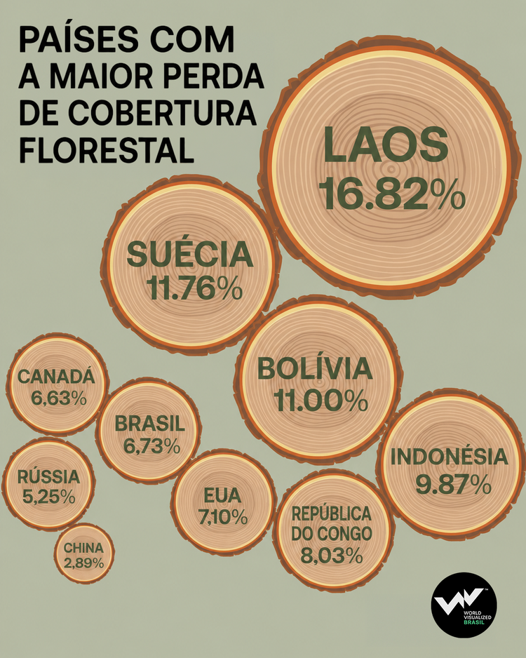 Laos é o país que mais teve perda de cobertura florestal