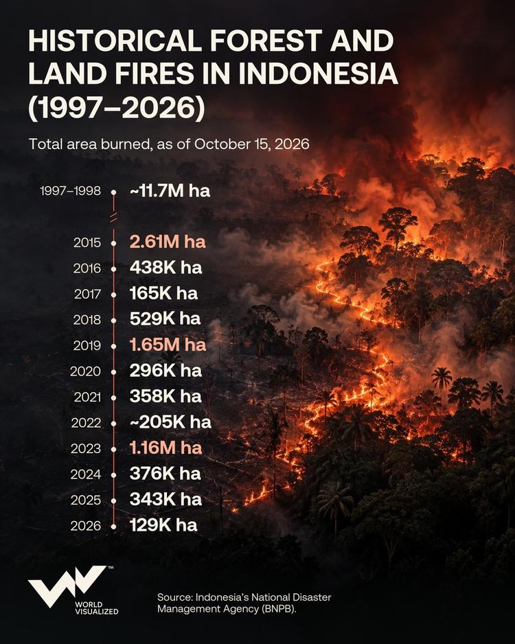 Indonesia's 2026 forest fires burn nearly 2 million hectares as the crisis worsens