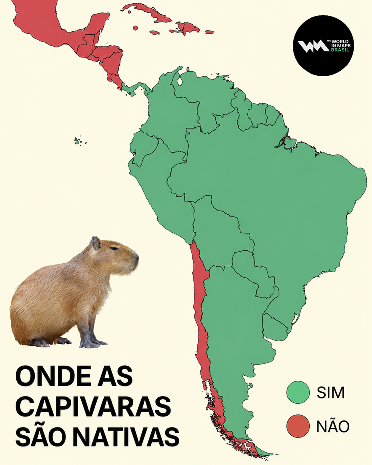 Mapa mostra onde as capivaras são nativas